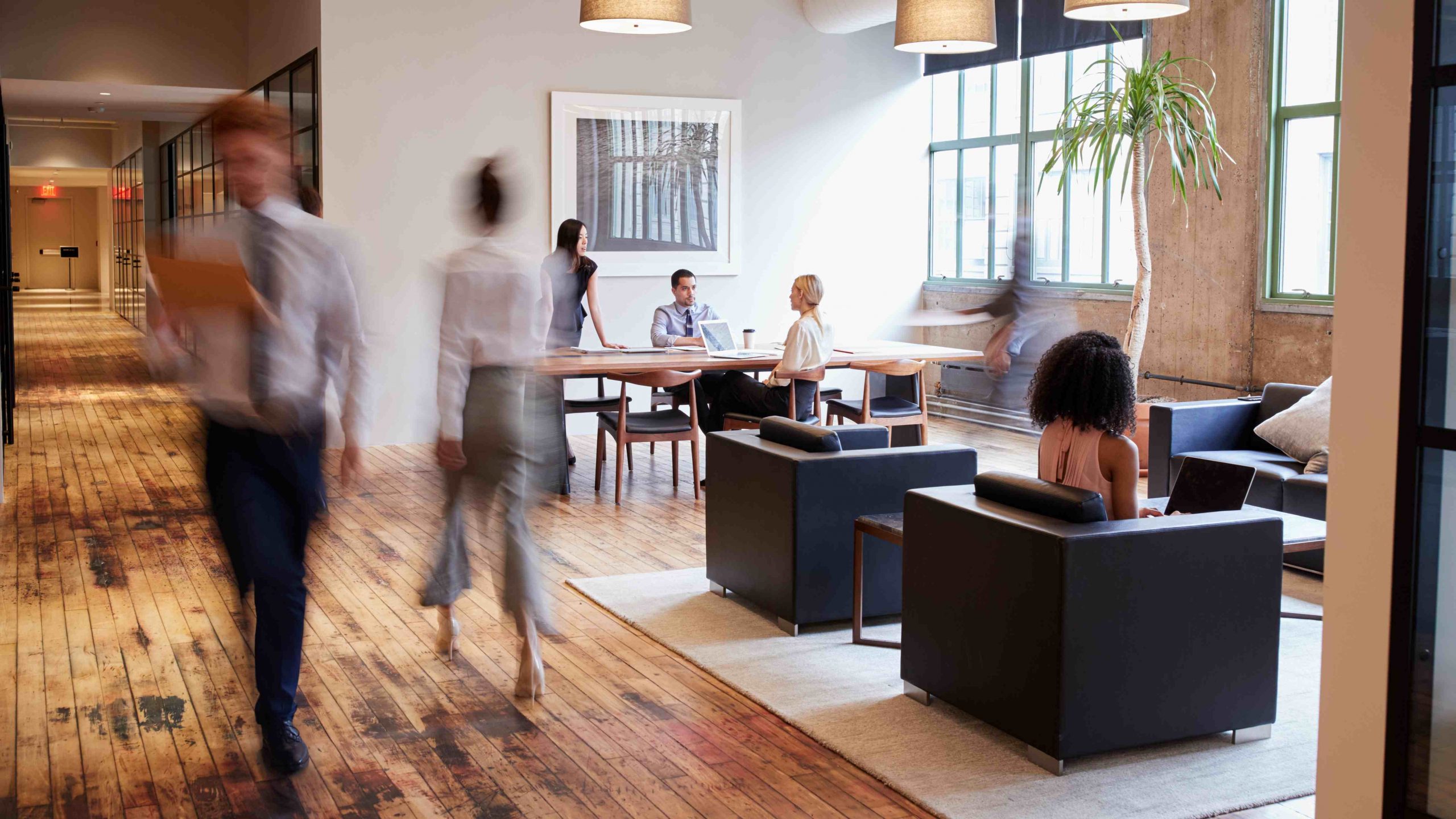 CAST Briefing 23: How can you change sustainability behaviours in your workplace?