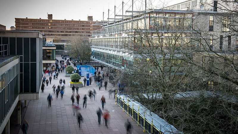 CAST Briefing 22: Academic researchers’ perceptions of climate action in UK universities: A briefing for the university sector