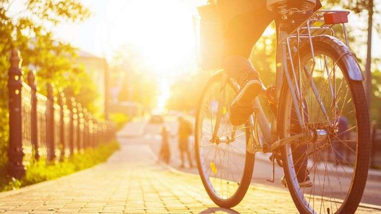 CAST Briefing 14: The road to net zero: UK public preferences for low-carbon lifestyles